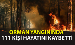 Orman yangınında 111 kişi hayatını kaybetti