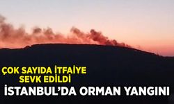 İstanbul Maltepe'de orman yangını: Çok sayıda itfaiye sevk edildi