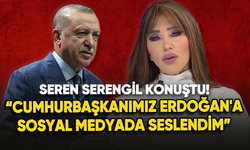 Seren Serengil: "Cumhurbaşkanımız Erdoğan'a sosyal medyada seslendim"
