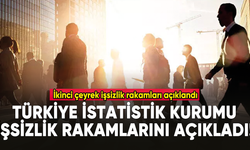 Türkiye İstatistik Kurumu işsizlik rakamlarını açıkladı!