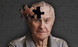 Alzheimer'a sebep olan etkenler nelerdir?
