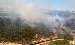 Antalya'nın Kaş ve Manavgat ilçesinde orman yangını çıktı