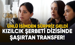 Kızılcık Şerbeti'nde şaşırtan transfer!