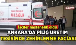 Ankara'da piliç üretim tesisinde zehirlenme: İşçiler hastanelik oldu