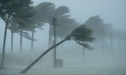 Edirne'de şiddetli fırtına: Ağaçlar devrildi!