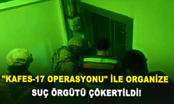 "Kafes-17 Operasyonu" ile organize suç örgütü çökertildi️!