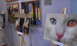 Tahran'da "Türk Kedileri" sergisi açıldı