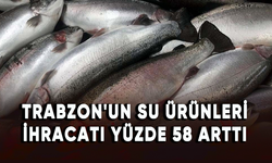 Trabzon'un su ürünleri ihracatı yüzde 58 arttı