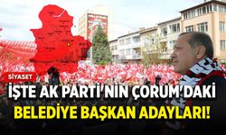 İşte AK Parti'nin Çorum'daki belediye başkan adayları!