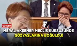 Meral Akşener Meclis kürsüsünde gözyaşlarına boğuldu!
