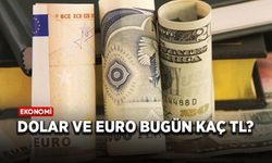 Dolar ve euro bugün kaç TL?