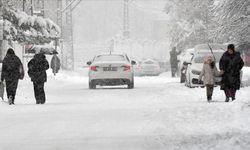 Mart ayında Erzurum, Ağrı, Kars ve Ardahan'da yeniden kar etkili oldu