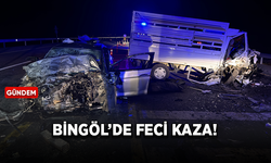 Bingöl'de feci trafik kazası!