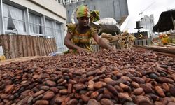 Çikolata üretimine büyük darbe: İki ülkede fabrikalar durdu