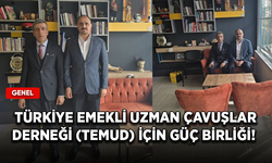 Türkiye Emekli Uzman Çavuşlar Derneği (TEMUD) için güç birliği!