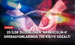 25 ilde düzenlenen "Narkoçelik-6" operasyonlarında 245 kişiye gözaltı