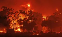 Yunanistan'da 31 Mart'ta başlayan orman yangınına müdahale sürüyor