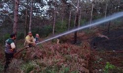 İstanbul'daki Aydos Ormanı'nda korkutan yangın