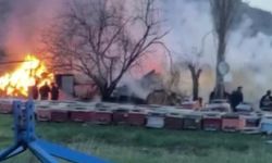 Çankırı'da bir çiftlikte yangın çıktı! 21 büyükbaş hayvan telef oldu