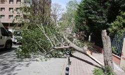 Konya'da fırtına tehlikeli durumlar oluşturdu! Çatılar uçtu, ağaçlar devrildi
