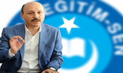 Türk Eğitim-Sen Genel Başkanı'ndan ücretli öğretmen maaşı ile ilgili çağrı!