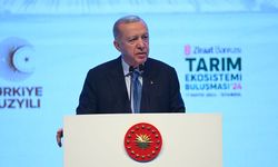 Cumhurbaşkanı Erdoğan'dan müjde: Genç çiftçi destek kredisi 2,5 milyona çıkarılıyor