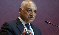TFF Başkanı Büyükekşi: Türkiye Kupası finalinde yabancı VAR hakemi olacak