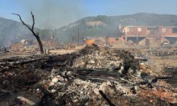 Kastamonu'da köyde yangın çıktı: 4 hayvan ve 12 ev yandı