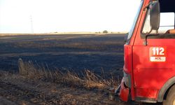 Edirne'de buğday tarlalarında yangın çıktı: 105 dönüm alan zarar gördü