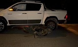 Bodrum'da kamyonetle çarpışan motosikletin sürücüsü hayatını kaybetti