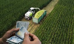 Çiftçilere 88,4 milyon liralık tarımsal destekleme ödemesi geldi