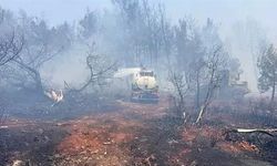 İki ilçeden sonra Manavgat'ta da orman yangını çıktı!