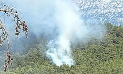 Manavgat'ta orman yangını! Ekipler kontrol altına almaya çalışıyor