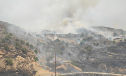 Manisa'da tarım alanında yangın