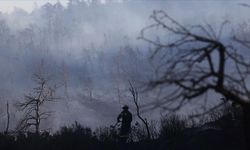 Yunanistan'ın başkentinin yakınlarında korkutan yangın: Kontrol altına alındı