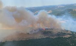 Balıkesir'de orman yangını! Karadan ve havadan müdahale sürüyor