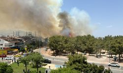Antalya'da iki ayrı noktada orman yangını çıktı