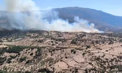 Aydın'da orman yangını: Müdahaleler sürüyor