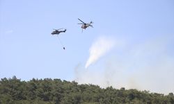 İzmir’de korkutan orman yangını: Mahalleye sıçradı! TSK müdahale ediyor