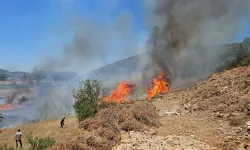 Muğla'da ormanlık alanda yangın: Müdahaleler sürüyor