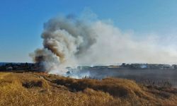 Tekirdağ'da tarla yangını: Buğday ekili 300 dönüm alan zarar gördü