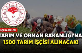Tarım ve Orman Bakanlığı'na 1500 tarım işçisi alınacak!