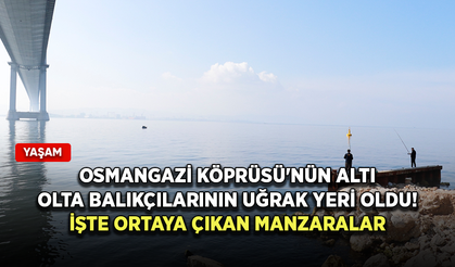 Osmangazi Köprüsü'nün altı olta balıkçılarının uğrak yeri oldu!