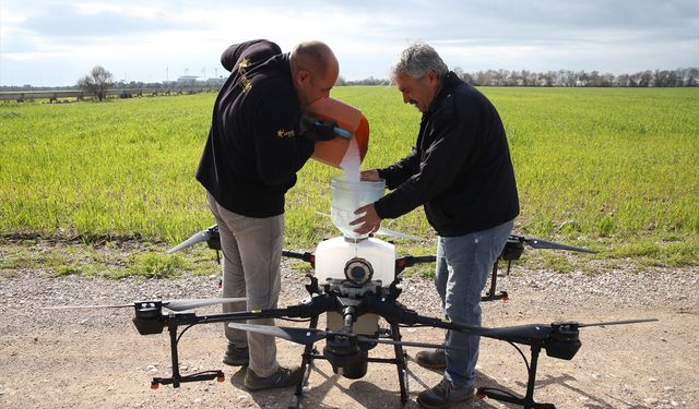ANTALYA - Buğday tarlası insansız hava araçları ile gübrelendi