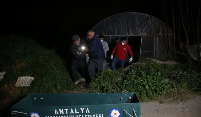 Antalya'da bir kişi çalıştığı çiçek serasında ölü bulundu