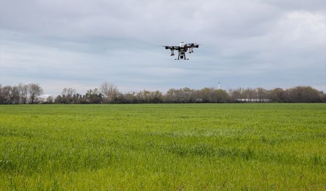 Antalya'daki buğday tarlası insansız hava araçları ile gübrelendi