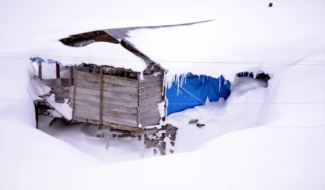 Yoğun kar yağışı yayla evlerini beyaz örtüyle kapladı