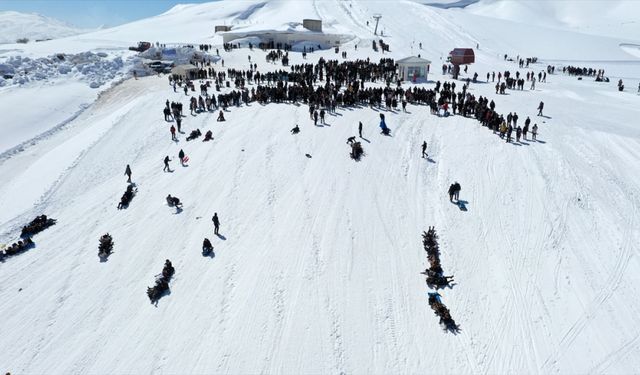 Bitlis'te üniversite öğrencileri kar festivalinde eğlendi