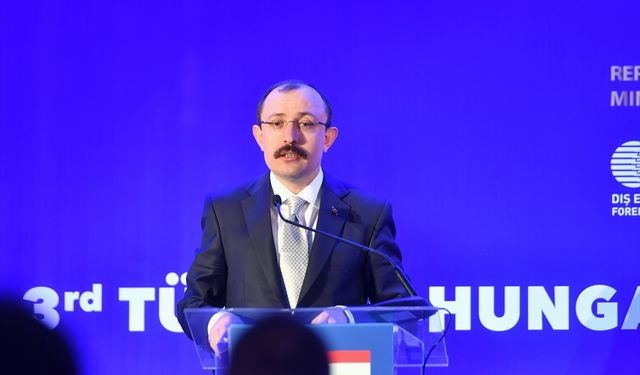 Budapeşte'de "Türkiye-Macaristan 3. Go Africa İş Forumu" düzenlendi
