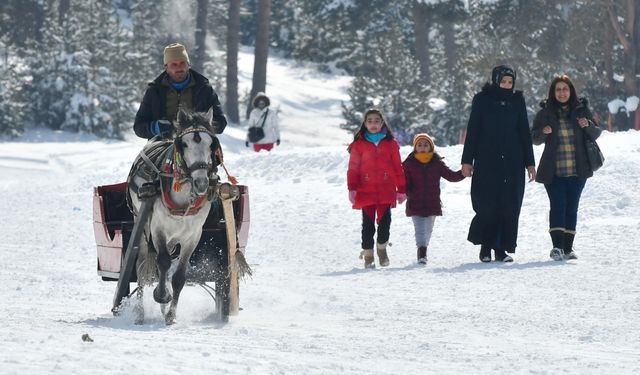 Cıbıltepe'de sezon uzayınca atlı kızakçıların yüzü güldü
